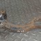 Braț inferior dreapta față AUDI A4 Avant 8K5, B8 2014 OEM: 8k0413l