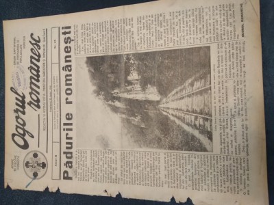 REVISTA OGORUL ROMANESC 21 IUNIE 1940 foto