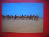HOPCT 5060 CURA DE CAMILE EMIRATELE ARABE UNITE -DUBAI -ASIA-CIRCULATA