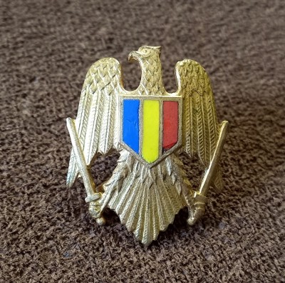 Insigna / Cuc / Emblema/ Militara foto