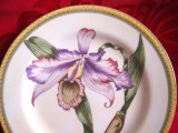 FARFURIE DECORATIVA PORTELAN CORNUCOPIA COLLECTION DECOR BOTANICA ORHIDEE CATTLEYA CRIANON 20.5 CM