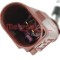 Senzor, temperatura gaze evacuare AUDI Q7 (4L) (2006 - 2015) METZGER 0894163