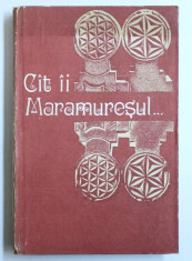 CAT II MARAMURESUL... de NICOLAE BAIESU ... SERGIU MORARU , 1993 foto