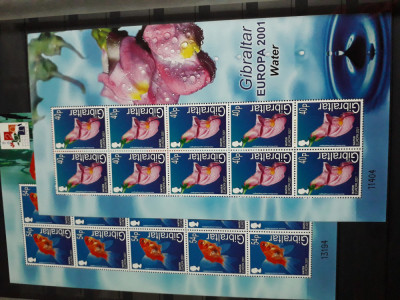 Gibraltar MNH 2001 Europa Fauna Marina Pesti - set 4 minicoli foto