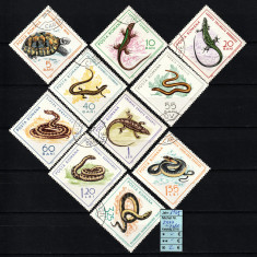 Timbre România, 1965 | Reptile - Animale | Serie Completă | aph