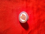 Insigna DDR anii &#039;50 - Prietenia Partidelor Socialiste , metal si email , h=1,5cm