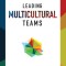 Leading Multicultural Teams