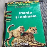 Enciclopedie Larousse Plante si Animale pentru Tineri Coperta Cartonata Editura Rao 1996