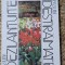 PASIUNI DEZLANTUITE... PASIUNI DESTRAMATE-FELICIEN MARCEAU