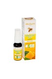 SPRAY GAT FORTE PROPOLIS F.ALCOOL 20ML, APICOLA PASTORAL GEORGESCU