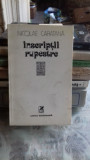 INSCRIPTII RUPESTRE - NICOLAE CARATANA