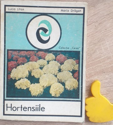 Hortensiile Lucia Litan, Maria Dragan foto