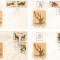 |Romania, LP 1318/1993, Animale (uzuale), FDC