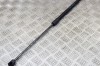 Amortizor haion dreapta OPEL CORSA E 2019 OEM: 39089133 13621519