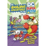 DC Super Pets Marvelous Boxing Bunny, DC Comics