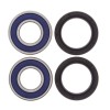 Kit Rulmenti Roata Fata All Balls Aprilia Pegaso 650 Kawasaki ER6N VN1500 Vulcan 800 ZX1000 ZZR ZX6R Ninja (25-1389)