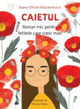 Cumpara ieftin Caietul, roman mic pentru fetitele care cresc mari | Ioana Chicet-Macoveiciuc