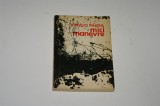 Mici manevre - Virgilio Pinera