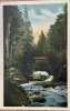 1936 CP color cascada de la Slanic Modova / circulata Bucuresti / Libraria C.D. Patron Tecuci / Craciun Tomescu / circulata / timbre intacte, Fotografie