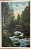 1936 CP color cascada de la Slanic Modova / circulata Bucuresti / Libraria C.D. Patron Tecuci / Craciun Tomescu / circulata / timbre intacte, Fotografie