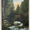 1936 CP color cascada de la Slanic Modova / circulata Bucuresti / Libraria C.D. Patron Tecuci / Craciun Tomescu / circulata / timbre intacte