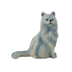 Pisica Persana-sezand S Collecta