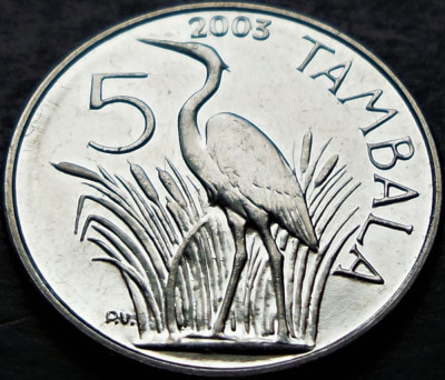 Moneda exotica 5 TAMBALA - Republica MALAWI, anul 2003 * cod 1033 = UNC foto
