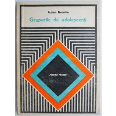 Grupuri de adolescenti &ndash; Adrian Neculau