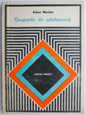 Grupuri de adolescenti &amp;ndash; Adrian Neculau foto