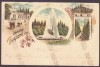 1320 - BUZIAS, Timis, Litho, Romania - old postcard - used - 1899, Circulata, Printata