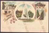 1320 - BUZIAS, Timis, Litho, Romania - old postcard - used - 1899
