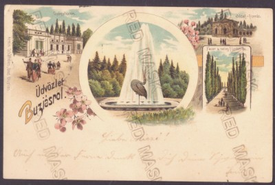 1320 - BUZIAS, Timis, Litho, Romania - old postcard - used - 1899 foto