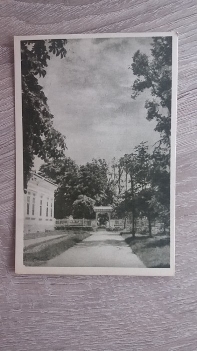 QW24 C - Carte postala - tematica turism - vedere - Covasna 4