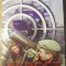 TARGET-ALEXANDRU MIHAILA-232737
