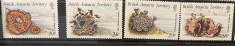 PC353 - Teritoriul Antarctic Britanic (BAT) 1989 Licheni, serie MNH, 4v