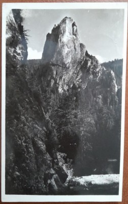 Carte postala, munti in Harghita, 1924 foto