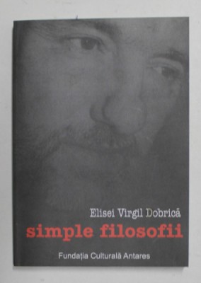 SIMPLE FILOSOFII de ELISEI VIRGIL DOBRICA , 2008 foto