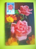 HOPCT 10733 TRANDAFIRI CP -FLORI-FELICITARE ANIVERSARA -CIRCULATA