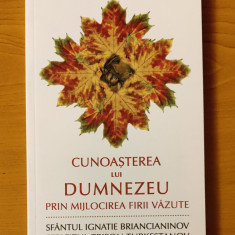 Sf. Ignatie Brancianinov - Cunoașterea lui Dumnezeu prin mijlocirea firii văzute