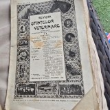 Revista Stiintelor Veterinare nr.4-5 anul I