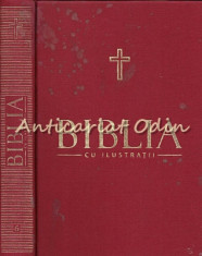 Biblia Cu Ilustratii VI - Bartolomeu Valeriu Anania foto