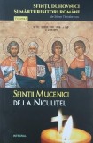 Sfintii mucenici de la Niculitel - Silvan Theodorescu, Carte Religioasa Crestinism