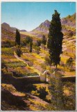 bnk cp Israel - Manastirea de pe Muntele Sinai - necirculata