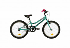 Bicicleta Copii Dhs Terrana 2004 Verde Roz 20 inch foto