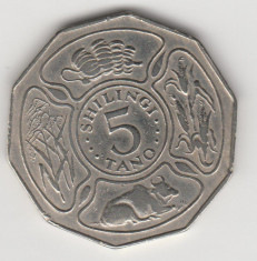 Moneda 5 shilingi 1972 - Tanzania foto