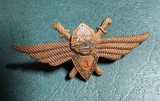 Insigna pilot militar Cl 3 1966 1967 RSR Comandor Pavica Mihai