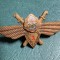 Insigna pilot militar Cl 3 1966 1967 RSR Comandor Pavica Mihai