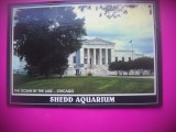 HOPCT 7601 SHEDD AQUARIUM -CHICAGO -SUA-AMERICA DE NORD -CIRCULATA