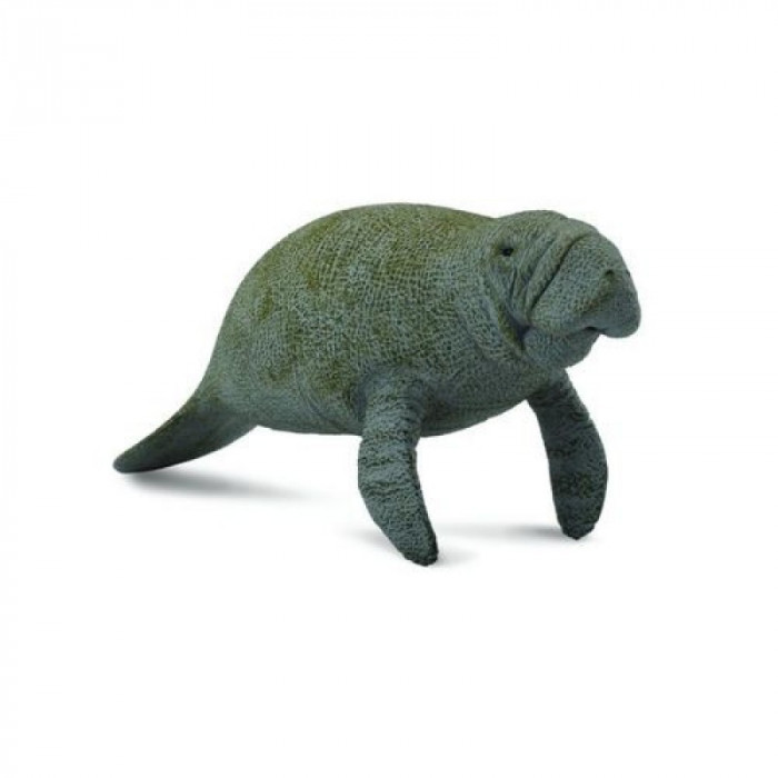 Figurina Lamantinul Collecta, 10.5 cm, 3 ani+