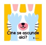 Cumpara ieftin Cine se ascunde aici? - Hardcover - Elena Selena - Univers